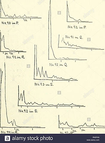 procesos asociativos en animales