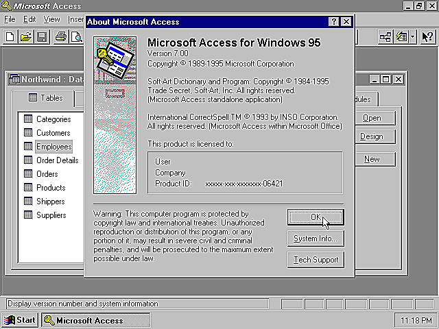 Access versión 1.1