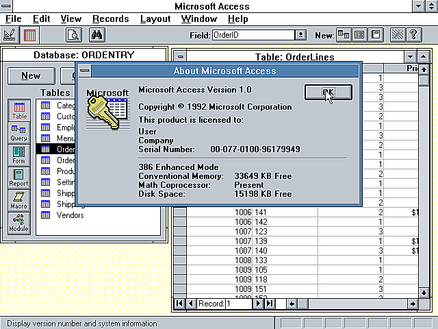Microsoft Access 1.1