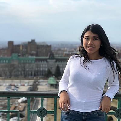 Timeline: Línea de vida