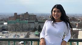 Timeline: Línea de vida