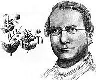 Enuncia las leyes de la herencia (Mendel).