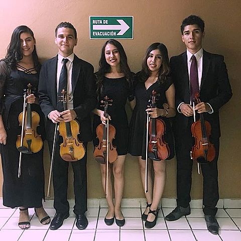 Ingresé a la OJUSON