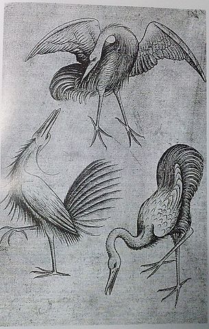 Grabados en planchas de cobre