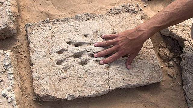 Fingerprints Discovered