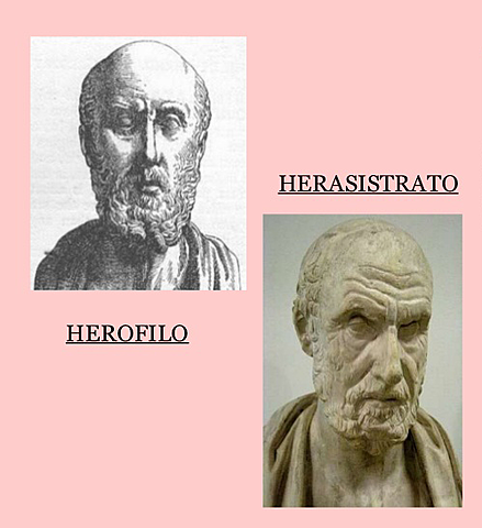 Erasístrato y Herófilo