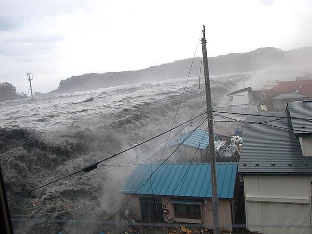 Tohoku Earthquake (Japan)