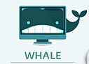 Whale