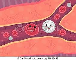 Anton van Leeuwenhoek