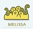 Melissa