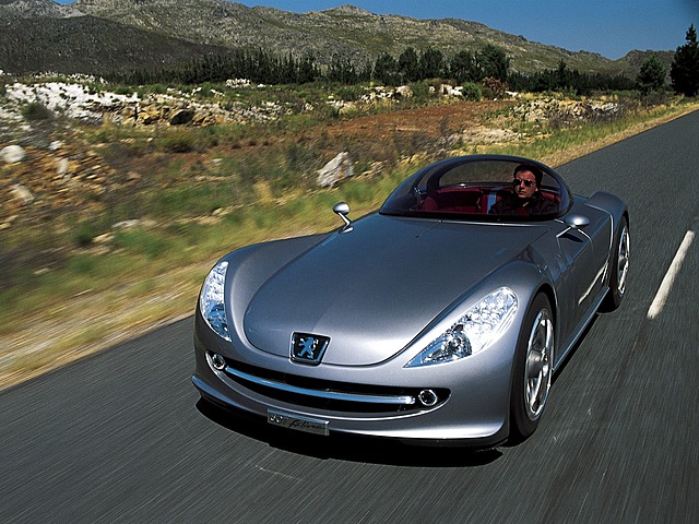 PEUGEOT COMPETITION INFLUENCES GERMAN CARMAKERS