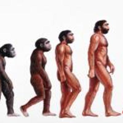 Timeline: Evolució de la vida a la Terra