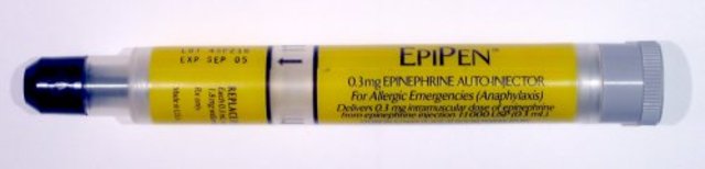 First Epinephrin Auto-injector goes public