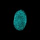 Fingerprints 182668331