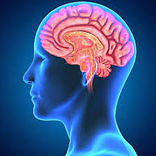 Avance en Neurocirugía