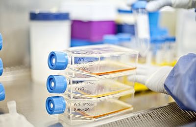 Creació de Albajuna Therapeutics, SL