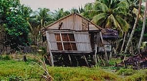 Papua New Guinea Quake (Papua New Guinea)