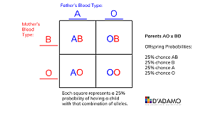 blood types