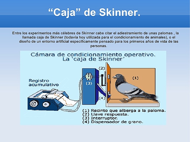 SKINNER - La superstición de la paloma