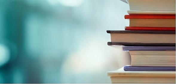 REFERENTE BIBLIOGRÁFICO