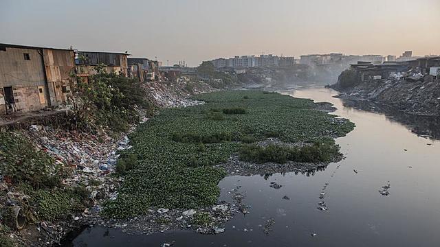 Mithi River Clean Up