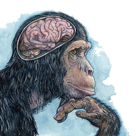 EDWARD THORNDIKE - Inteligencia animal