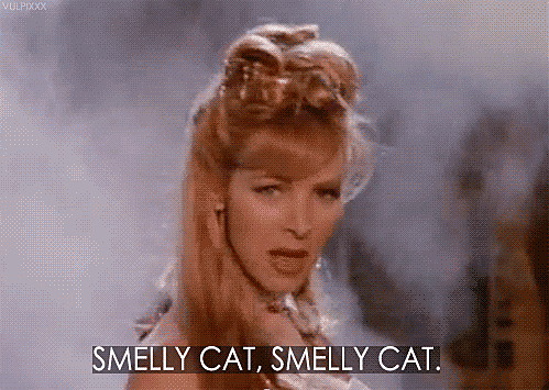 Smelly cat, Smelly cat... (S2EP17)