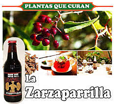 Historia Colonial ''La Zarzaparrilla''
