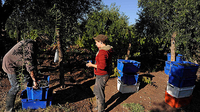 SEGÚN MARX LA IMPORTANCIA DEL HOMBRE Y SU PROCESO (1808-1883)