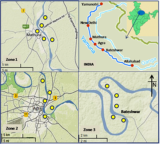 Honorable Suprema Corte de India