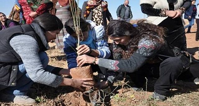 EL NACIMIENTO DEL PENSAMIENTO PEDAGÓGICO MODERNO