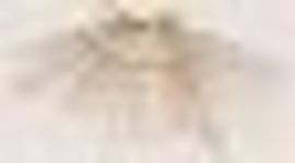 Timeline: EVOLUCIÓN DELAS TECNOLOGÍAS