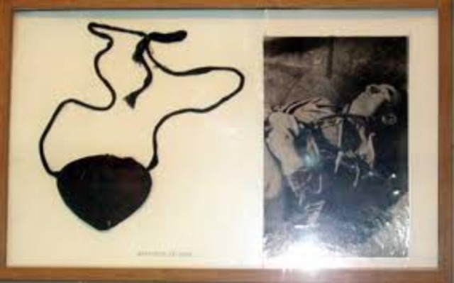 Heinrich Himmler Ir affronted assistant chief on the Gestapo