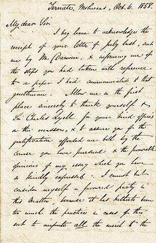 Alfred Wallace Correspondence