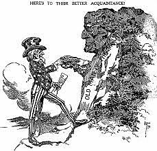 Roosevelt and the environment