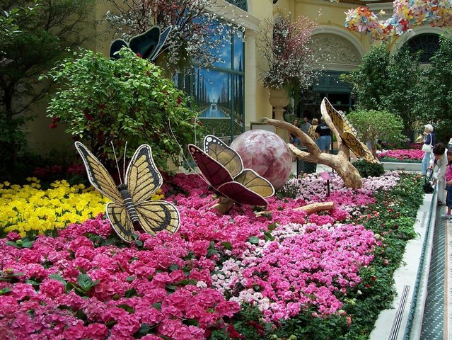 Las Vegas Photo Shoot; Bellagio/ Botanical Gardens