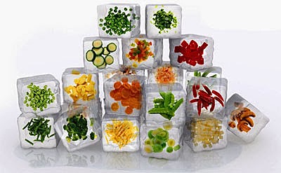 Inicio de los métodos de congelación