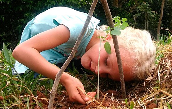 La Educación  a partir de la Naturaleza