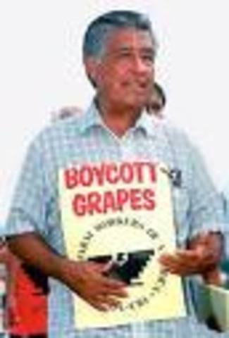 •	UFW’s Nationwide Boycott of grapes picked on nonunion farms