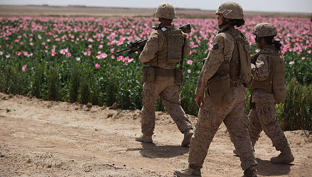 PRIMERA Y SEGUNDA GUERRA MUNDIAL