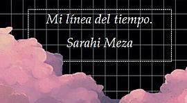 Timeline: Línea de Vida.