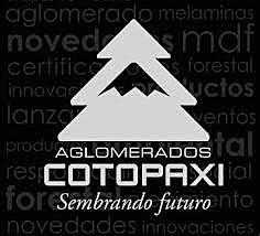 Competencia emprendedora