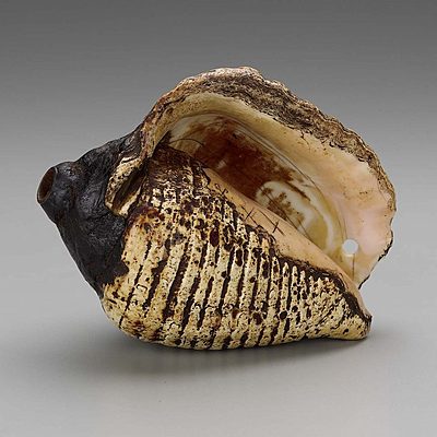 Timeline: Evolución Tecnológica