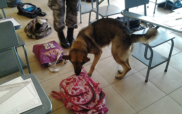 Erradicación de la droga