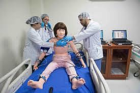 Creación se simuladores