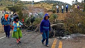 Las luchas no solo afectan a la sociedad también afectan a las familias indígenas,colonas y campesinos marginados en la economía