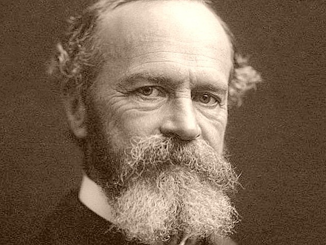 La idea pedagógica en Rousseau (1858-1917)