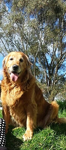 TAMY LLEGA A MI VIDA