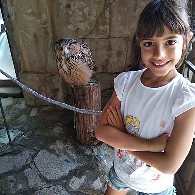 Timeline: AITANA LORENZO TORRES