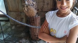 Timeline: AITANA LORENZO TORRES